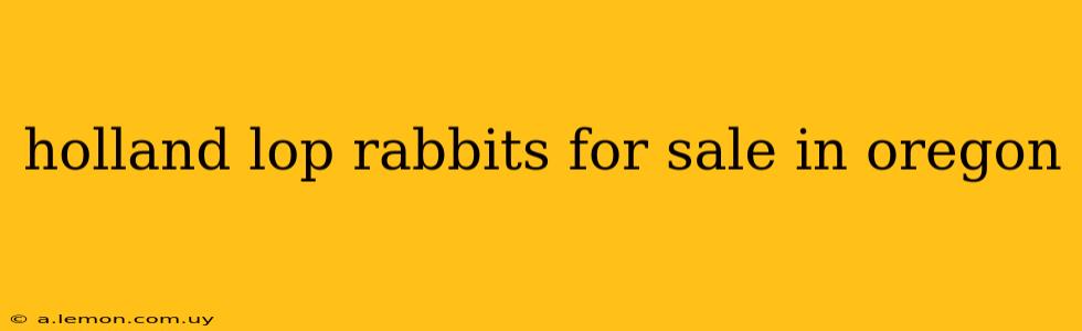 holland lop rabbits for sale in oregon