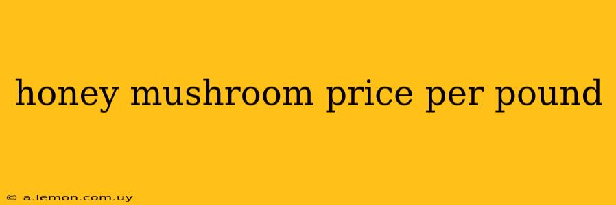 honey mushroom price per pound