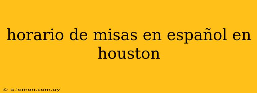 horario de misas en español en houston