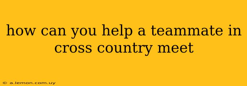 how can you help a teammate in cross country meet