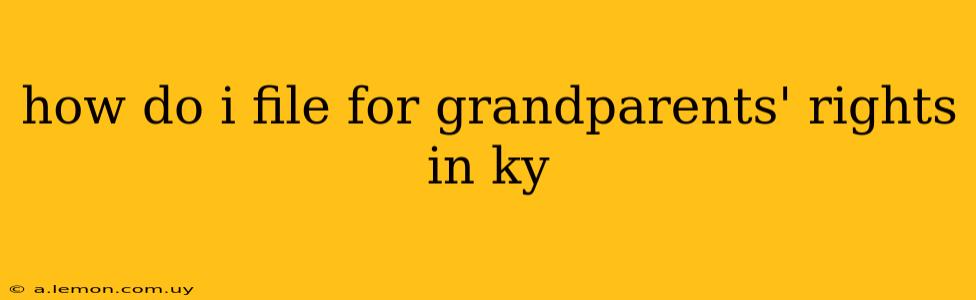 how do i file for grandparents' rights in ky