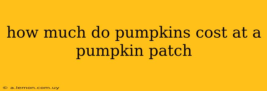 how much do pumpkins cost at a pumpkin patch