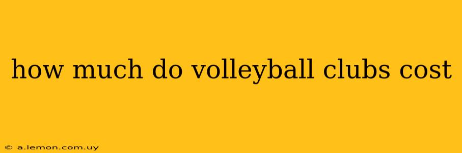 how much do volleyball clubs cost