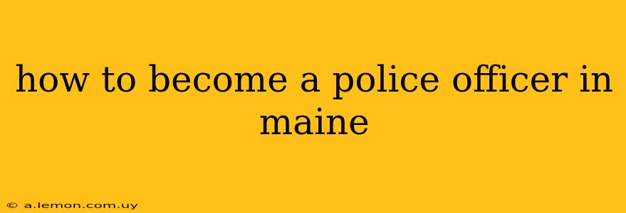 how to become a police officer in maine