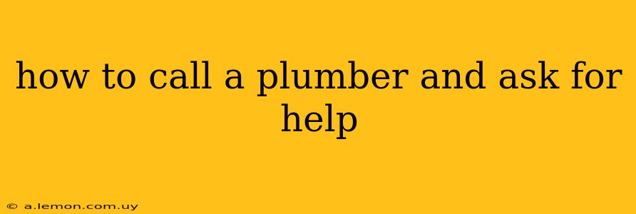 how to call a plumber and ask for help