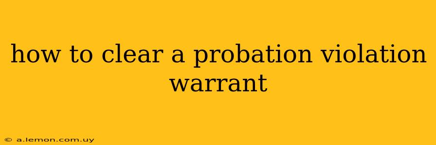 how to clear a probation violation warrant