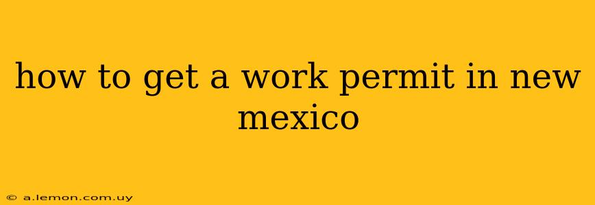 how to get a work permit in new mexico