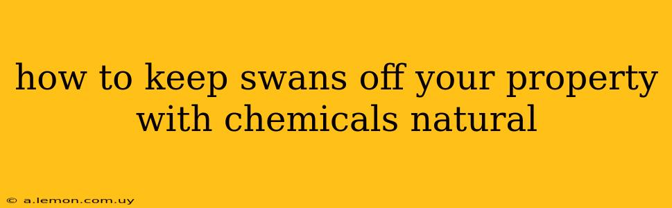 how to keep swans off your property with chemicals natural