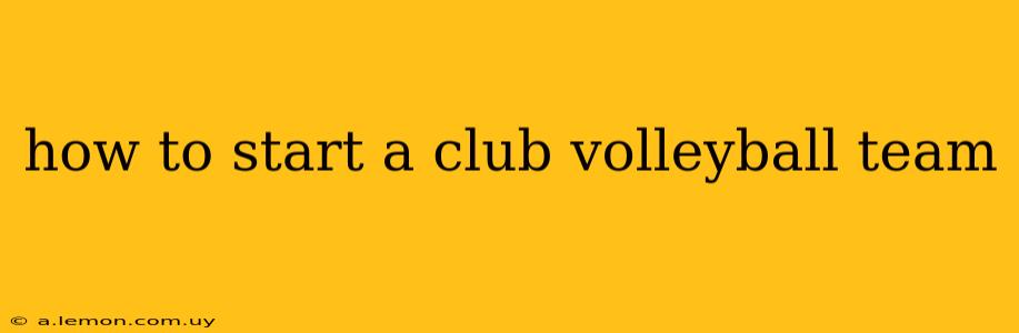 how to start a club volleyball team