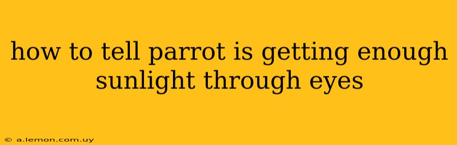 how to tell parrot is getting enough sunlight through eyes