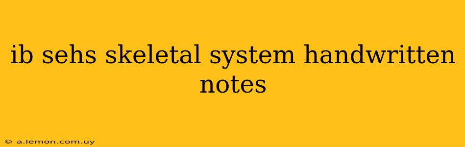 ib sehs skeletal system handwritten notes