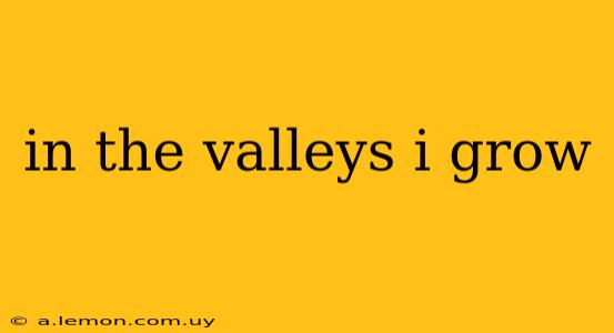 in the valleys i grow