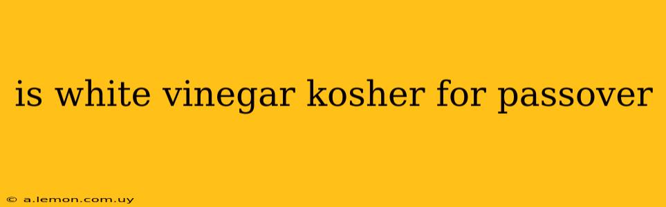 is white vinegar kosher for passover