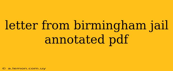 letter from birmingham jail annotated pdf