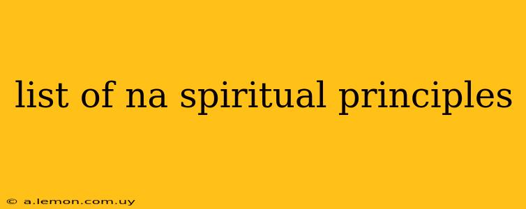 list of na spiritual principles