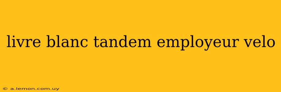 livre blanc tandem employeur velo