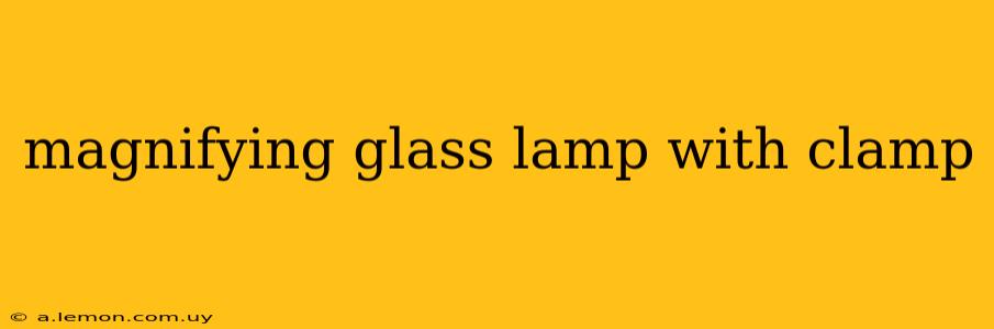 magnifying glass lamp with clamp