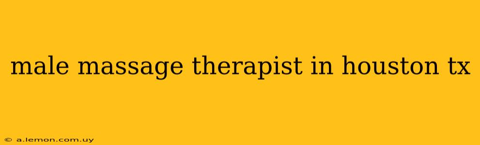 male massage therapist in houston tx