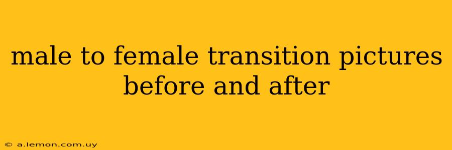 male to female transition pictures before and after