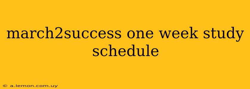 march2success one week study schedule