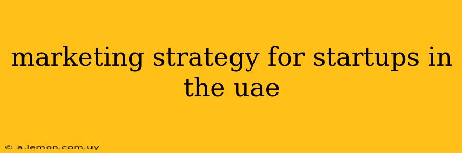 marketing strategy for startups in the uae