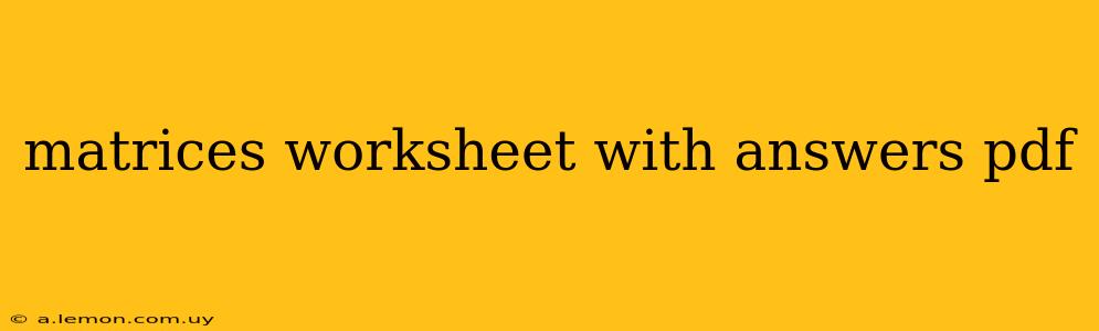 matrices worksheet with answers pdf