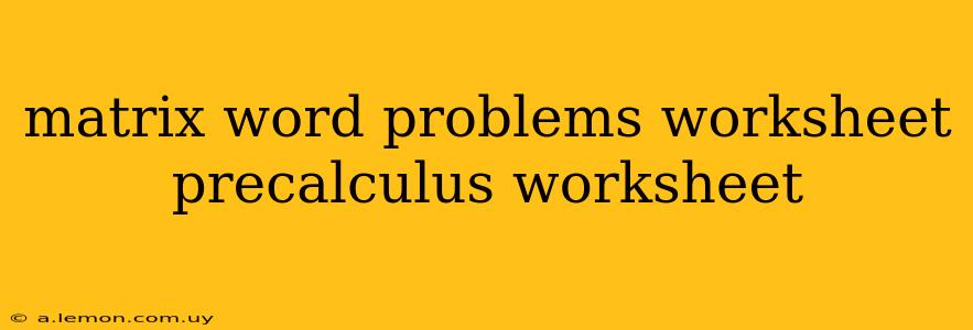 matrix word problems worksheet precalculus worksheet