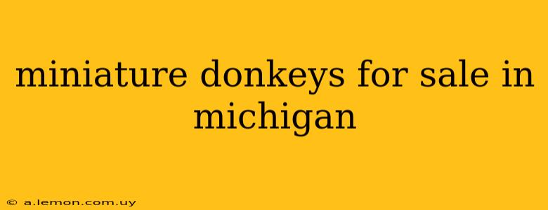 miniature donkeys for sale in michigan