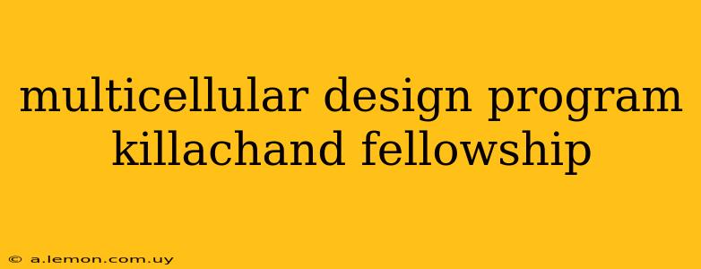 multicellular design program killachand fellowship