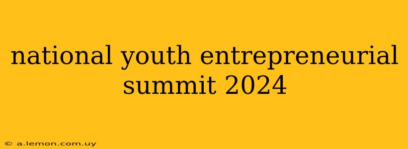 national youth entrepreneurial summit 2024