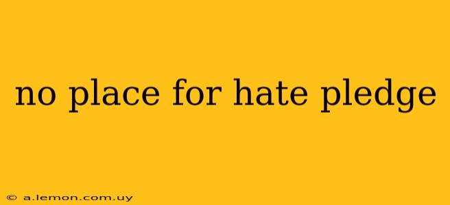 no place for hate pledge