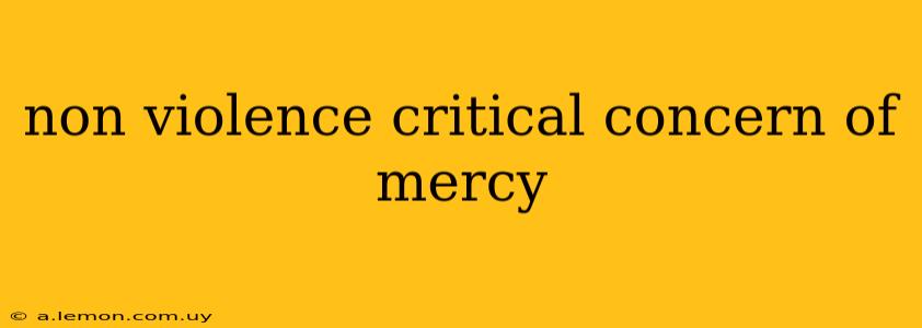 non violence critical concern of mercy