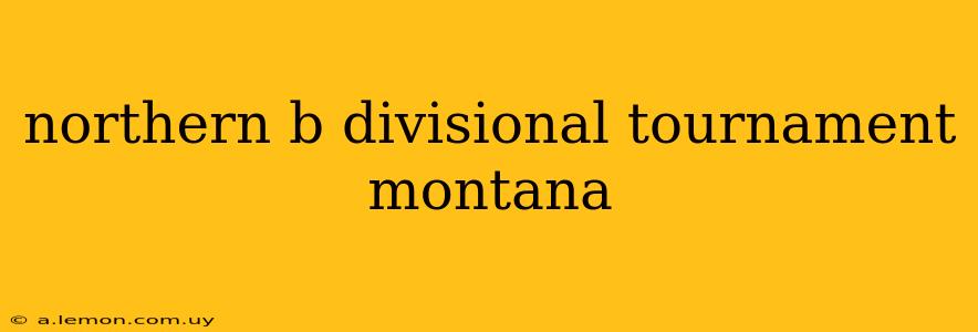 northern b divisional tournament montana