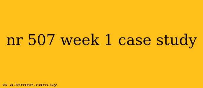 nr 507 week 1 case study