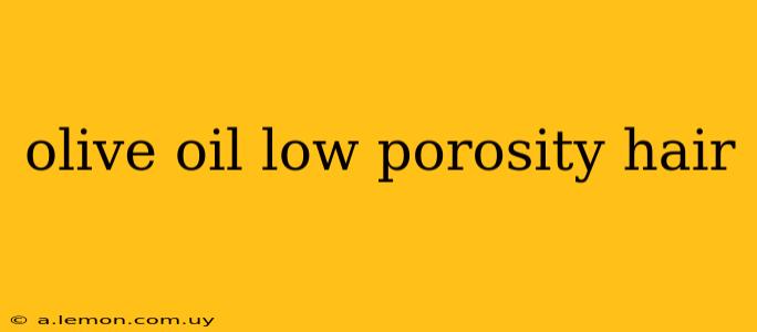 olive oil low porosity hair