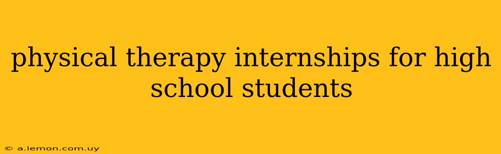 physical therapy internships for high school students