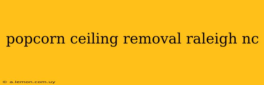 popcorn ceiling removal raleigh nc