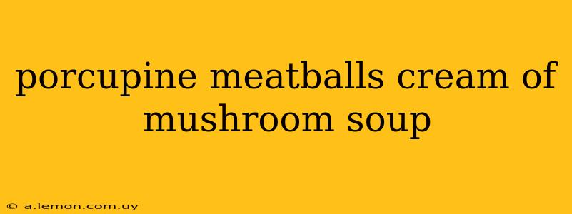 porcupine meatballs cream of mushroom soup