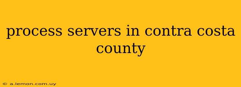 process servers in contra costa county