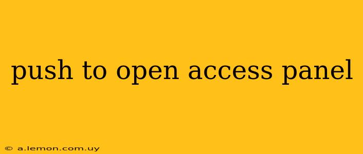 push to open access panel