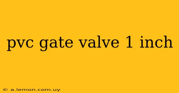 pvc gate valve 1 inch