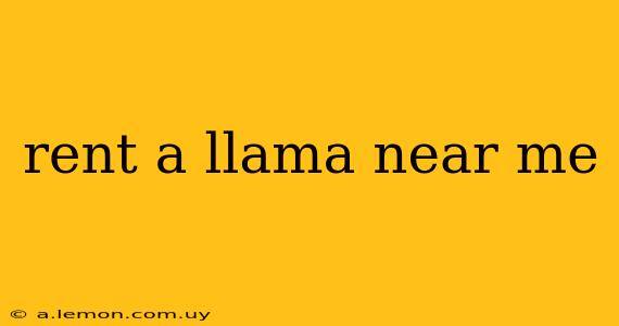 rent a llama near me