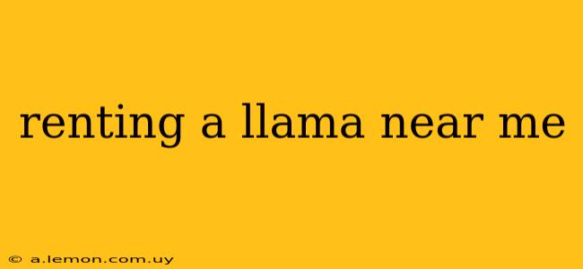 renting a llama near me