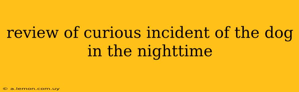 review of curious incident of the dog in the nighttime