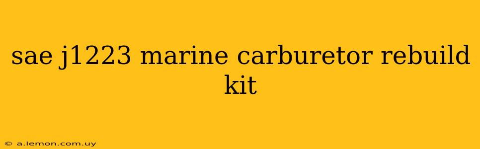 sae j1223 marine carburetor rebuild kit