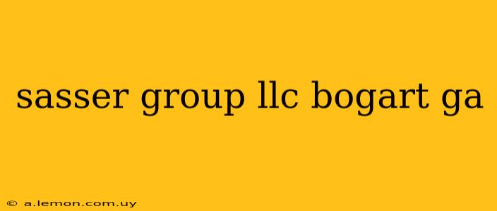 sasser group llc bogart ga