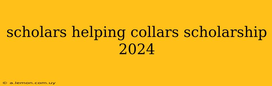 scholars helping collars scholarship 2024