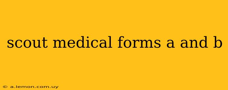 scout medical forms a and b