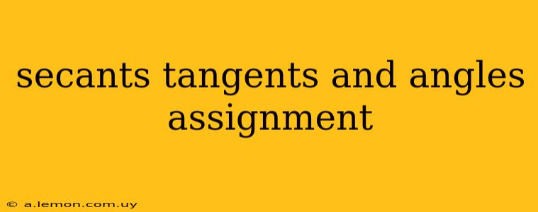 secants tangents and angles assignment