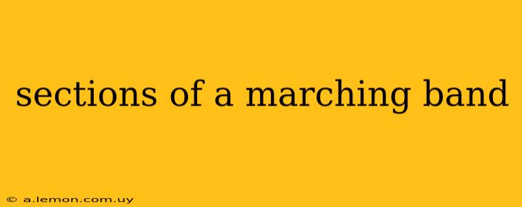 sections of a marching band